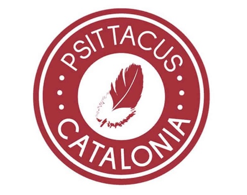 psittacus